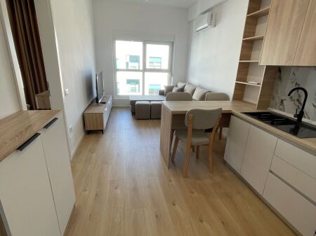 1+1 apartment for rent