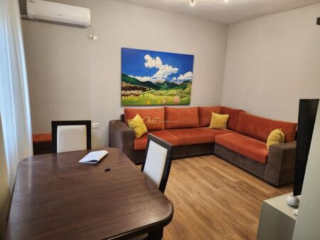MIHAL GRAMENO STREET APARTMENT FOR RENT 1+1