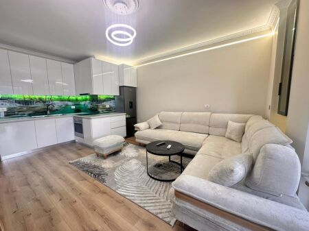 1+1 apartment for rent